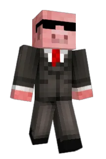 210Ignaz Minecraft avatar full body