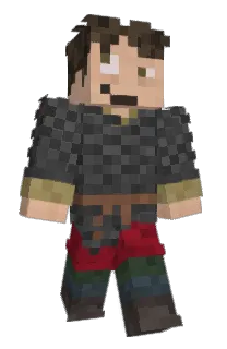 Front of hansauph's skin