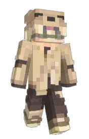 Skin preview