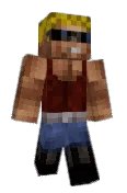 Skripter