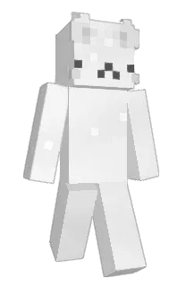 Front of Jianningc's skin