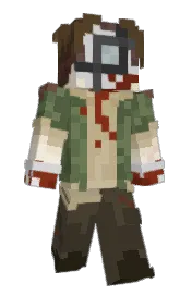 Skin preview