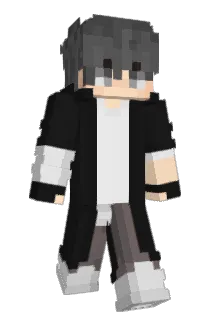 211tye Minecraft avatar full body