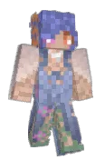Z4k4B33