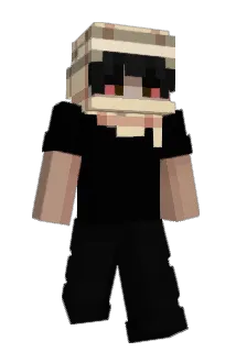 213k Minecraft avatar full body