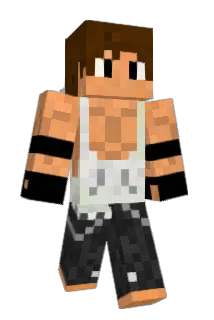 21425 Minecraft avatar full body