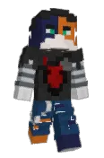 vibegoose