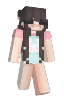 Front of saipai's skin