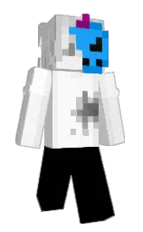 Minecraft skin — Classic model