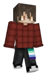 Front of SANESTVOLO's skin