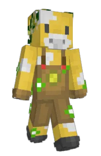 Front of Artslce's skin