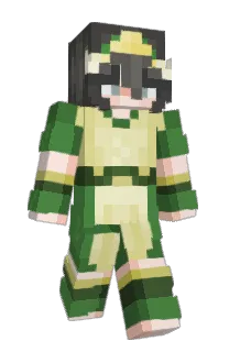 Front of buddybck's skin