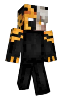 Front of Nisl's skin