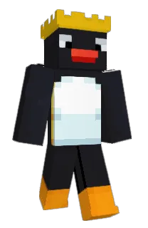 Front of FindleT's skin