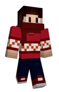 Front of TheFastWing's skin