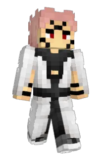 Front of WildSys's skin