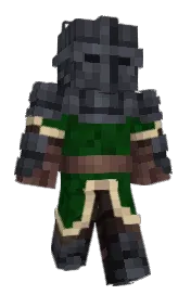 Skin preview