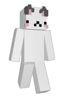 21BRlAN Minecraft avatar full body