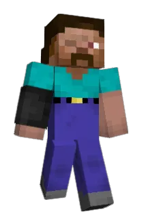 21D1 Minecraft avatar full body