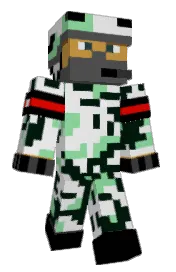 Skin preview