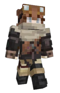 Front of BB337's skin