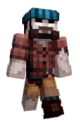 MetraCam
