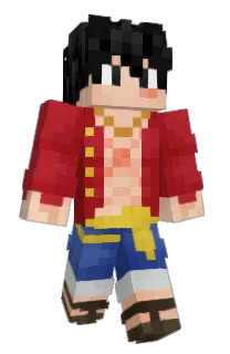 Front of Turtious's skin