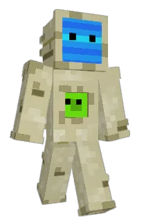 Front of Minecraft skin