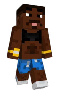 plopinhisprime's Minecraft skin