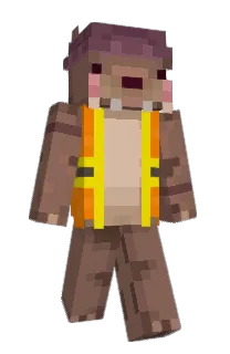 Front of voozer's skin