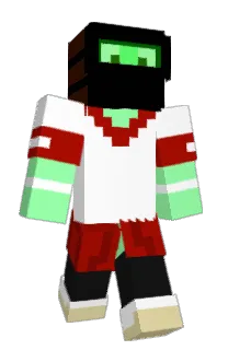 Front of flhs's skin