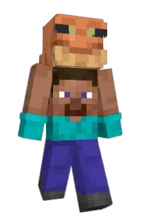 Front of Endium999's skin