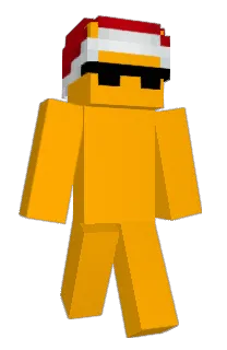 Front of GoFinn's skin