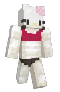 Front of Minecraft skin