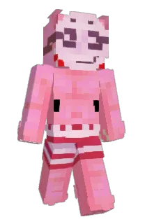 Front of MakeEnjoy's skin