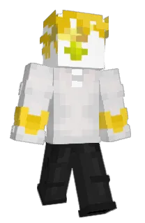 Front of tada0ka's skin