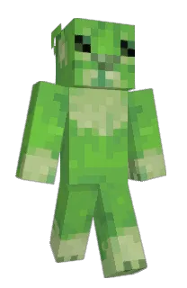 coolsw4g's Minecraft skin