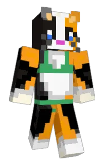 Leets's Minecraft skin