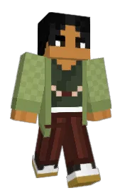 Skin preview