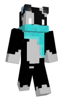 Front of Nagger's skin