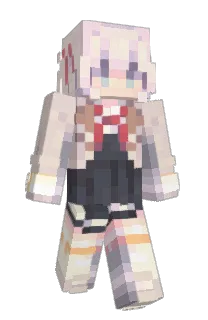 Front of nrri's skin