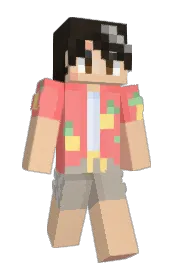 Skin preview
