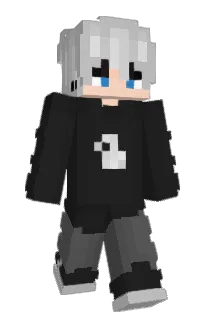 Front of vlpw's skin