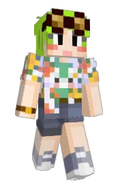 Skin preview