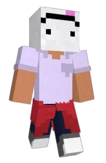 Front of Dislamp's skin