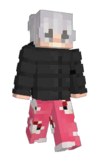 Front of pracastop's skin
