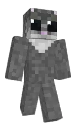 hamsterboii's Minecraft skin wearing the Pan cape