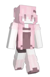 Front of iyvw's skin