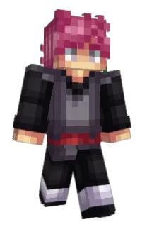 Front of Starplatinum's skin