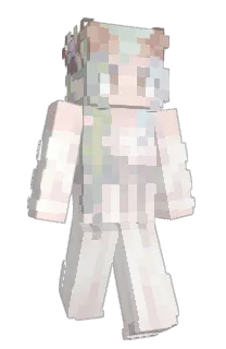 Front of angelixen's skin